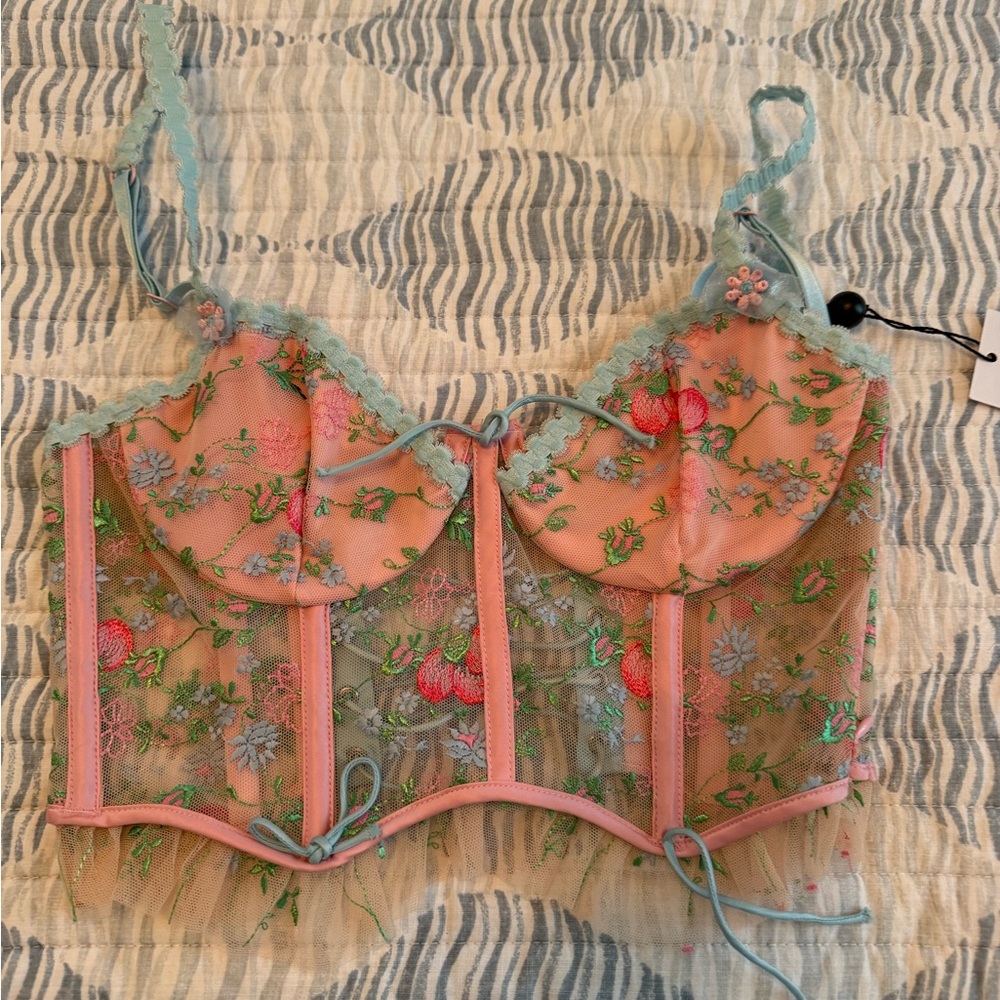 For Love & Lemons Pink Bustier with Mint Floral Embroidery